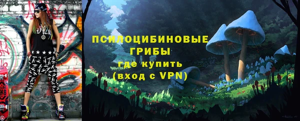 гашик Балабаново