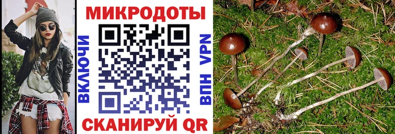 Псилоцибиновые грибы прущие грибы  наркота  Славгород 